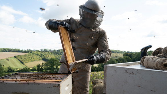 the_beekeeper_2023_bild_0001.jpg